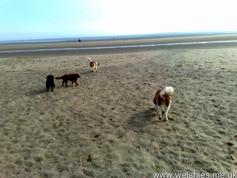 2011-04-16 03.jpg